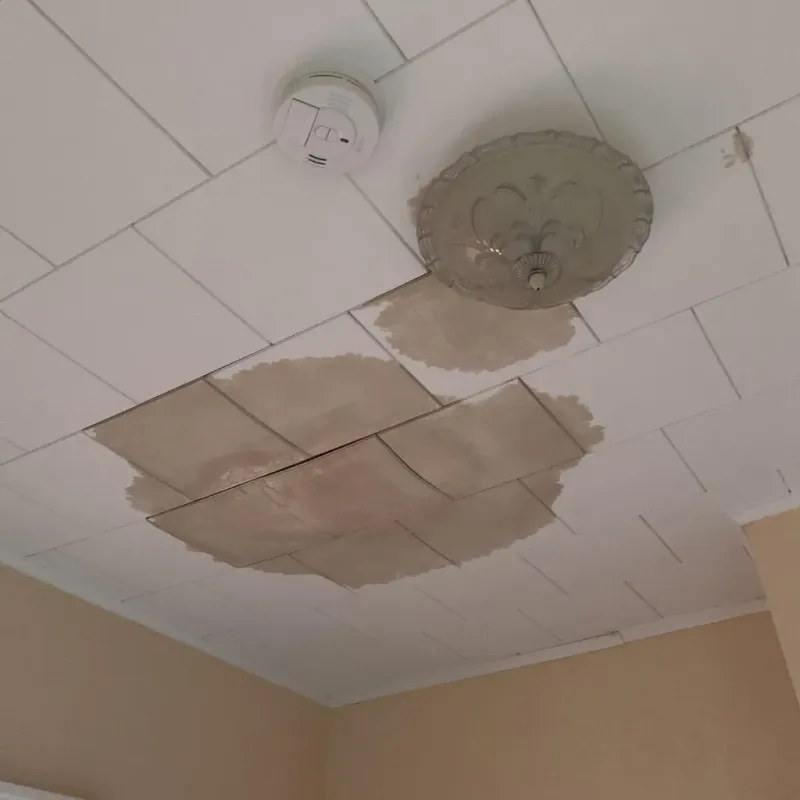 Ceiling Water Damage Repair in Sissonville, WV