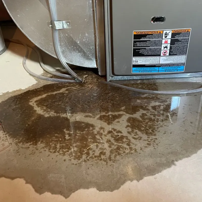 Pipe Burst and Leak Restoration in Sissonville, WV