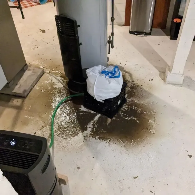 Sewage Backup Cleanup Service in Sissonville, WV